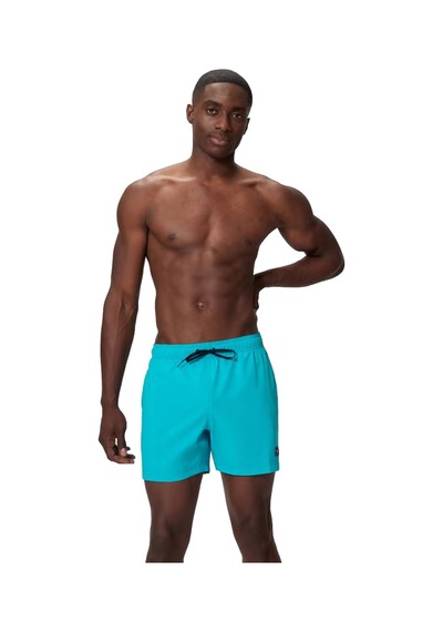 Speedo Classic Logo Volley 16" Erkek Şort Mayo Mavi