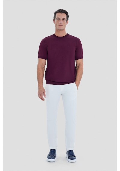Sabri Özel Erkek Bordo Dar Kesim Slim Fit Viskon Triko Bisiklet Yaka Tişört