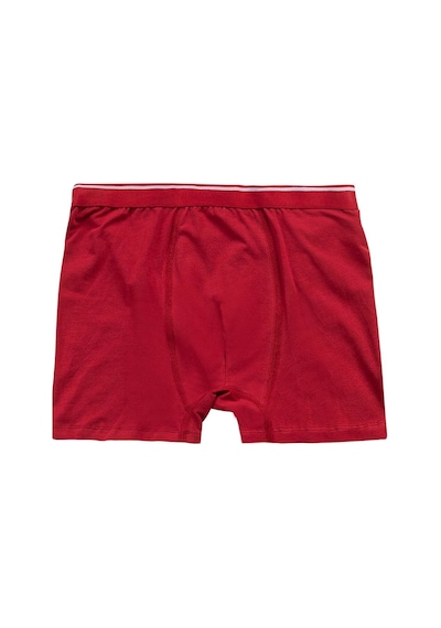 Kompedan Çok Renkli Süprem Beşli Boxer 11110 KARIŞIK