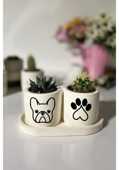 Tabaklı Bulldog Desenli Mini Saksı Seti