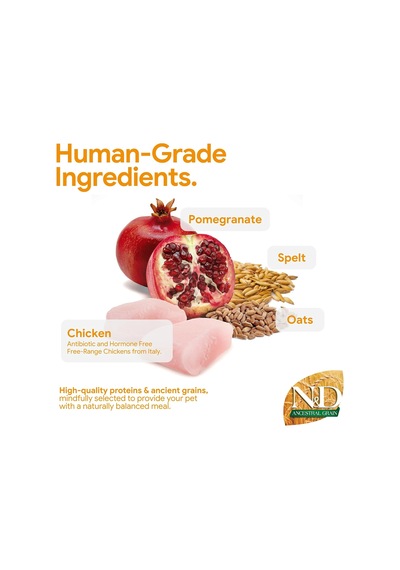 N&d Ancestral Grain Kedi Maması, Kuru Mama, Tavuk, Kılçıksız Buğday, Yulaf Ve Narlı, Kısırlaştırılmış, 5 Kg