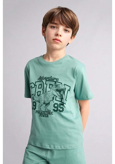 Defacto Baskılı Tişört Şort Pijama Takımı Erkek Çocuk G8829a826hsgn1095 Yeşil-gn1095