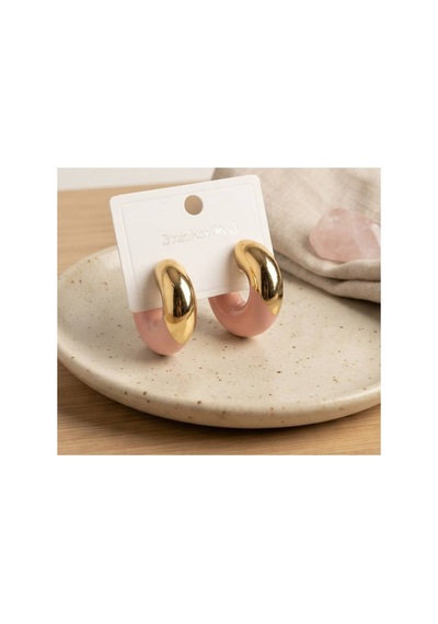 316l Çelik Gold Renk Pembe Halka Model Kadın Küpe Tj-bkp12032 Evimdeyokyok