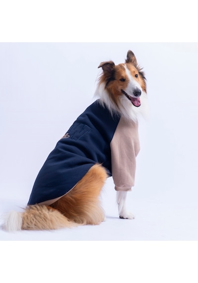 Lacivert Boston Pawstar Sweat Orta-büyük Irk Köpek Sweatshirt Köpek Sweat Köpek Kıyafeti Lacivert Boston Pawstar Sweat Orta-büyük Irk Köpek Sweatshirt Köpek Sweat Köpek Kıyafeti