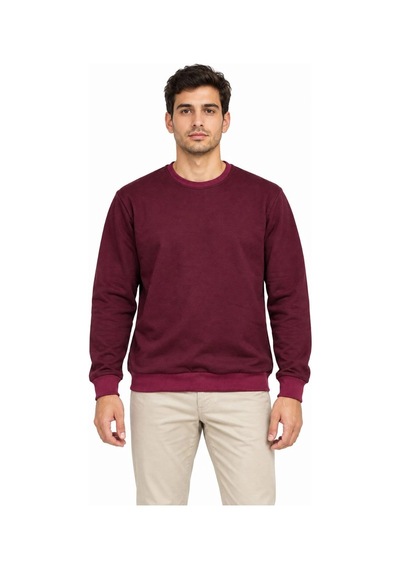 Erkek 3'lü Bisiklet Yaka İçi Şardonlu 2 İplik Düz Uzun Kollu Regular Fit Sweatshirt - Siyah - Bordo - Gri Çok Renkli