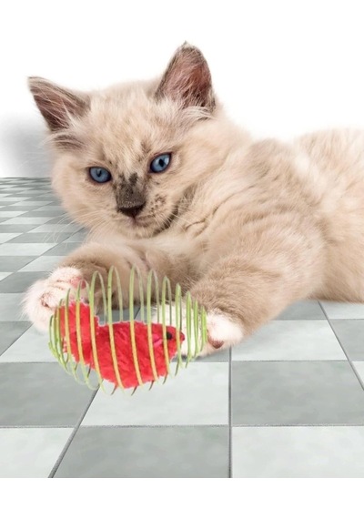 Yaylı Metal Fareli Kafes Kedi Oyun Topu Sıçrayan Spiral Kedi Oyuncağı İle Eğlenceli Ve Aktif Zamanlar