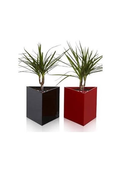 Trend Vase Kompozit 40X40X50 Üçgen Saksı