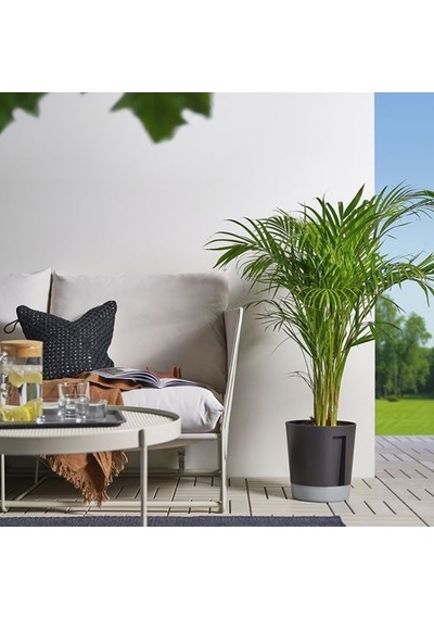 Ikea Vardtrad Sulama Düzenekli Saksı, Antrasit, İç/dış Mekan 81471376