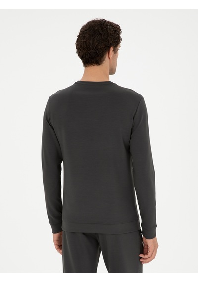 Antrasit Regular Fit Bisiklet Yaka Sweatshirt Gri