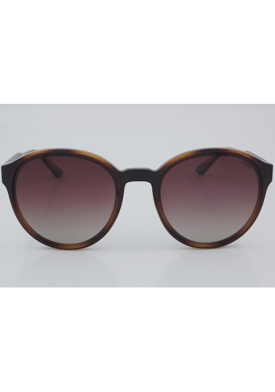 Despada Ds 2227 C2 57 - 01 Güneş Gözlüğü Leopar