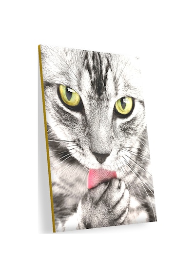 Cakasepetim Patilerini Yalayan Kedi Yakın Çekim Ahşap Mdf Tablo