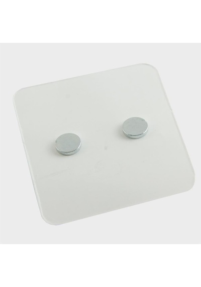Zenviac456 Uğur Böceği Mıknatıslı Plastik Çocuk Küpesi Zenviac45678 Kırmızı
