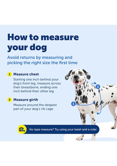 Tr Easy Walk Köpek Koşum Takımı Genel