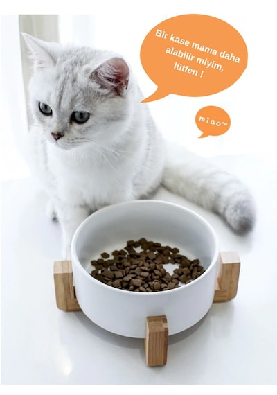 Yılmazel Seramik ve Doğal Ahşaptan Kedi Mama ve Su Kabı