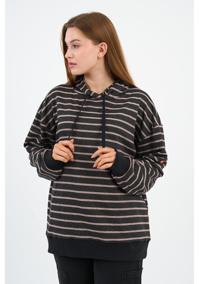 Alexander Gardi Çizgili Kapüşonlu Sweatshirt Unx-00242-wn Kahverengi