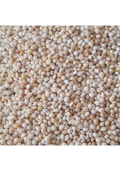 Sade Ak Darı Muhabbet Kuşu Yemi 5 KG