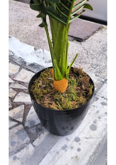 Rüzgar Yapay Çiçekçilik 120 Cm Areka Ağacı Yeşil