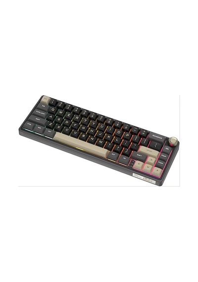 Royal Kludge R65 RKR65-PT-XH 65% Kablolu Us Gaming Klavye