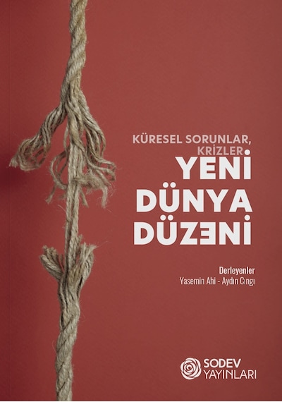 Küresel Sorunlar, Krizler: Yeni Dünya Düzeni