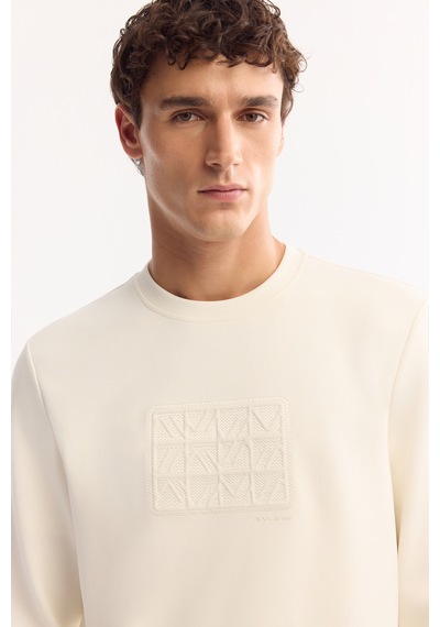 Avva Erkek Ekru Bisiklet Yaka Pamuklu Bi-stretch Baskılı Regular Fit Sweatshirt A52y1289