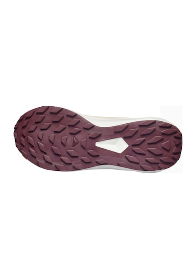 Salomon Alphaglide Kadın Outdoor Ayakkabı Pembe