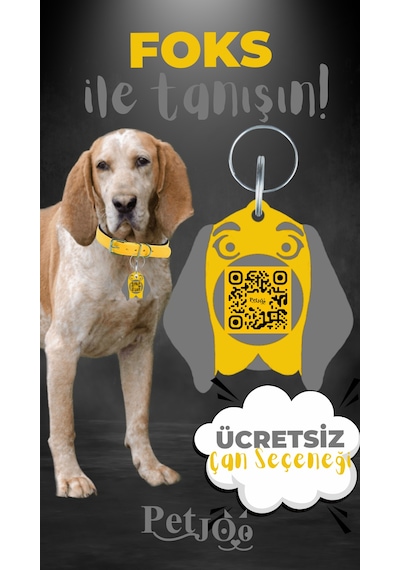 Petjoo 29.Foks Gri-Sarı Qr'lı Köpek Künyesi