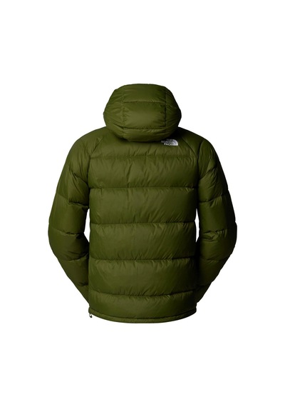 The North Face Erkek Hydrenalıte Kaztüyü Hoodıe Ceket Nf0a5gıebrı1 Tek Renk