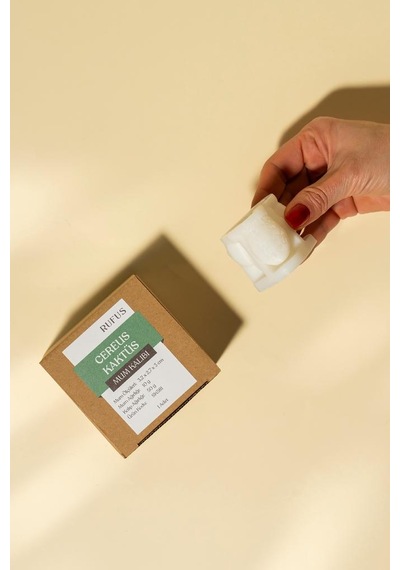 Cereus Kaktüs Silikon Mum Kalıbı