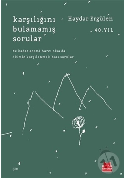 Karşılığını Bulamamış Sorular - Haydar Ergülen - Kırmızı Kedi