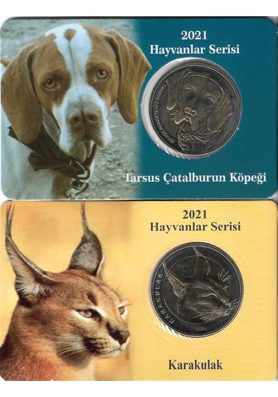 2021 Yılı Tarsus Çatalburun Köpeği Ve Karakulak 1 Kuruş Özel Kitinde Çil