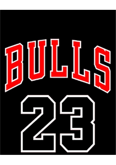 Zepplin Giyim Chicago Bulls 23 Büyük Sırt Patch Yama