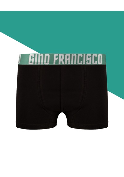 Gino Francisco Erkek Boxer 3'lü Paket Pamuklu Esnek Rahat Kesim Forest Collection Premium Kutulu Set Yeşil - Siyah - Kahverengi