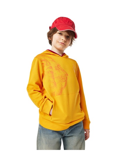 Gsstore Galatasaray Çocuk Hoodie C251037 Sari