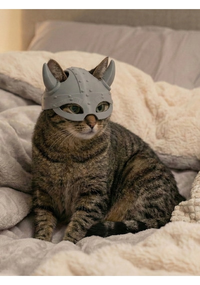 Viking Tasarımlı Kedi Kaskı - Eğlenceli Evcil Hayvan Kostüm Aksesuarı