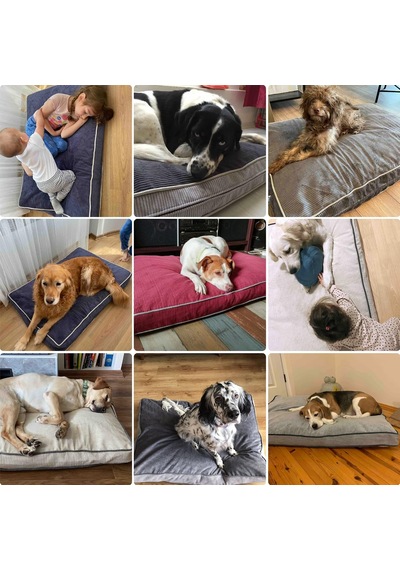 Lüks Dayanıklı Şönil Kumaş Visco Dolgulu Çift Taraflı Ve Fermuarlı Yıkanabilir Köpek Yatağı-xxl 85x125x10c