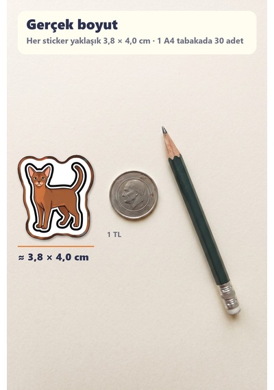 30 Adet Vektörel Kedi Köpek Sticker Seti - Laptop Defter Telefon Su Matarası İçin Çok Renkli