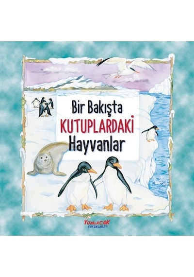 Bir Bakışta Kutuplardaki Hayvanlar
