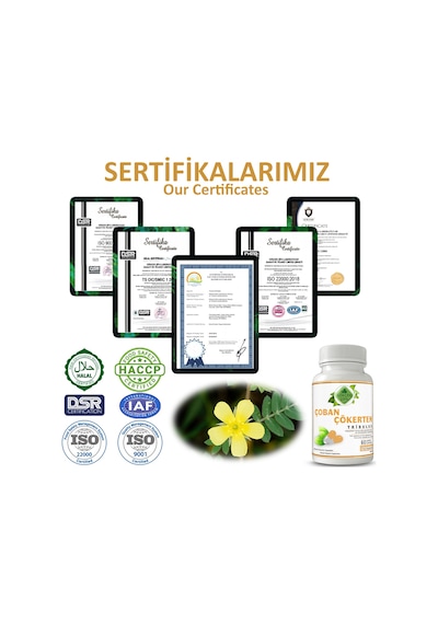 Gökçek Şifa Çoban Çökerten Bitkisel Takviye Edici Gıda 60 Kapsül