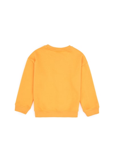 U.S. Polo Assn. Erkek Çocuk Mango Bisiklet Yaka Basic Sweatshirt 50313829-VR244
