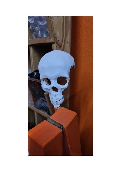 3d Akvaryum Dekoru Kuru Kafa