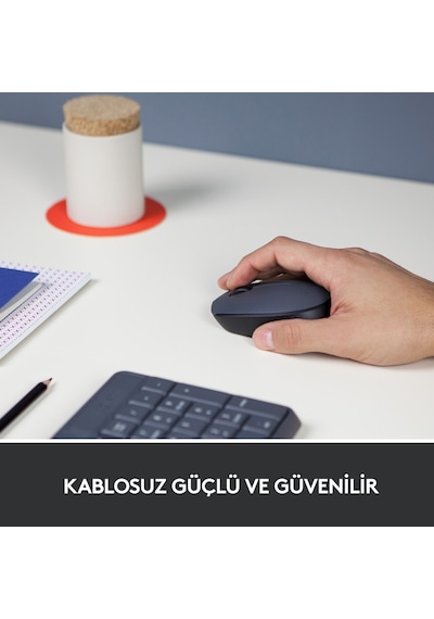 Logıtech M170 Kablosuz Siyah Mouse