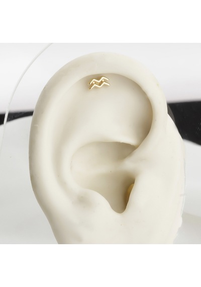 Glorria Altın Kova Burcu Helix Piercing Altın