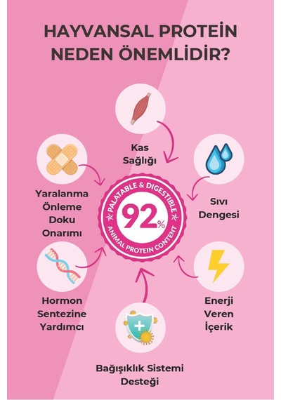 Petline Sterilised Düşük Tahıllı Kısırlaştırılmış Somonlu Yetişkin Kedi Maması 2 x 10 KG
