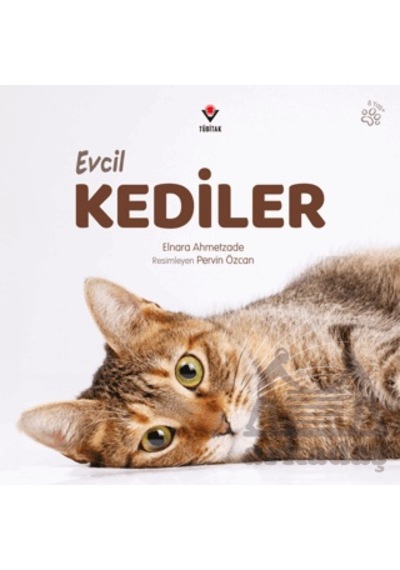 Evcil Kediler Tübitak Yayınları