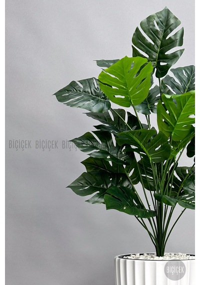Yapay Monstera Deve Tabani Bi Tki Si 130 Cm Beyaz Li Lyum Saksıda