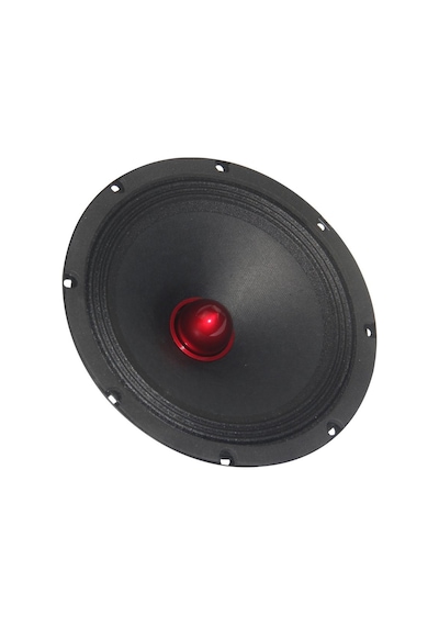 Roadstar Rdh-M170Pro 200 Watt 17 Cm Oto Hoparlör