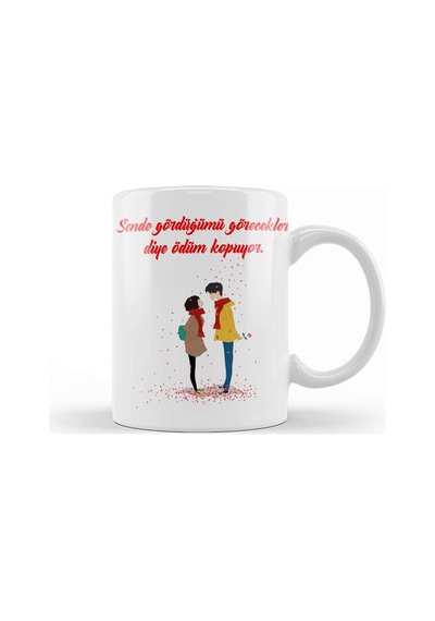 Sevgililer Günü Sevgiliye Hediye 0220 Kupa Bardak Porselen Karışık