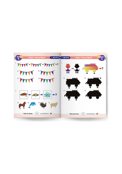 Bilsemde Başarı Kitabı-1. Seviye