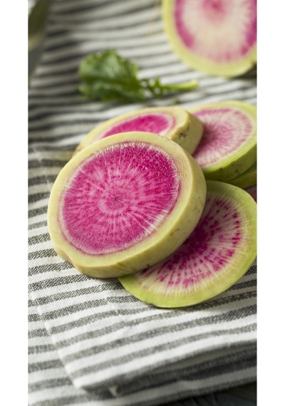 Karpuz Turp Tohumu Atalık Radish Watermelon