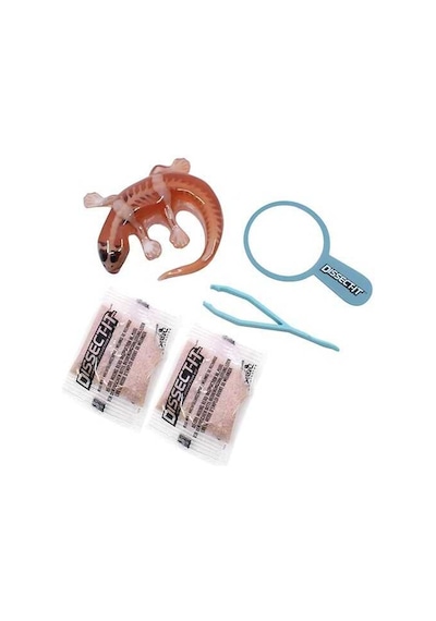 Slimy Dissect İt Mini With Magnifying Glass 38085
